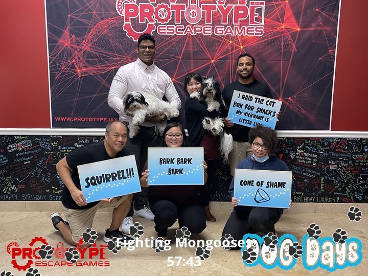 group photo team photo Prototype Escape Games dog days